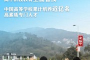 系统学习型!小学资料,全面覆盖
