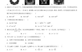 二模后提分!中考重点专题,针对性强