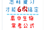 高二生物公式卡!计算类公式,每天记