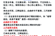 文言文入门大全!小学语文5-6年级,简单易懂
