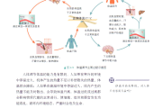 高考生物专题！稳态调节+免疫，专项突破(2024年高考生物试题分析及2025届备课建建议)