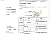 初中全科资料！部编版适配，紧跟大纲
