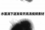
黑白版！小学资料，打印省墨水