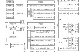 生物名师整理!高三生物提升资料,网盘领取